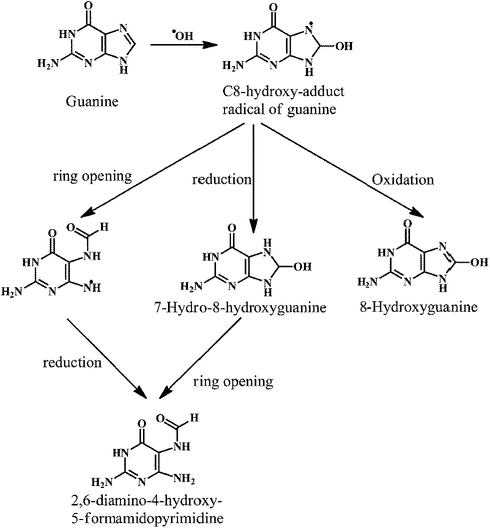 Free radicals, natural antioxidants, and their reaction mechanisms RSC Advances (RSC