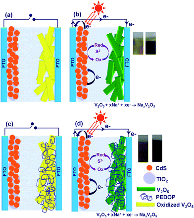 Dual Purpose Poly 3 4 Ethylenedioxypyrrole Vanadium Pentoxide Nanobelt Hybrids In Photoelectrochromic Cells And Supercapacitors Rsc Advances Rsc Publishing