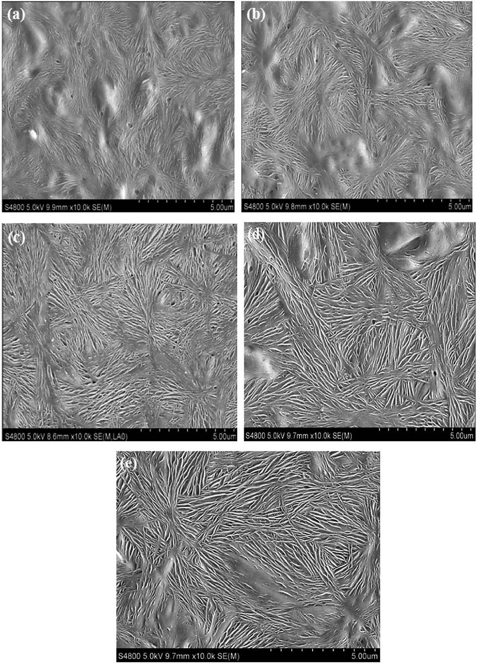 Influence Of Lamellar Structure On The Stress Strain Behavior Of B Nucleated Polypropylene Under Tensile Loading At Elevated Temperatures Rsc Advances Rsc Publishing