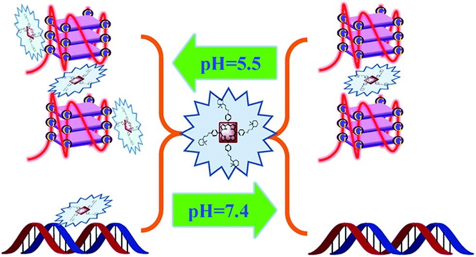A Water Soluble Cationic Porphyrin Showing Ph Dependent G Quadruplex Recognition Specificity And Dna Photocleavage Activity Rsc Advances Rsc Publishing