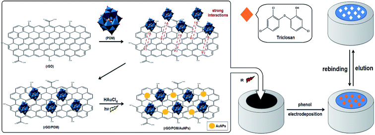 Sensitive and selective determination of aqueous triclosan based on ...