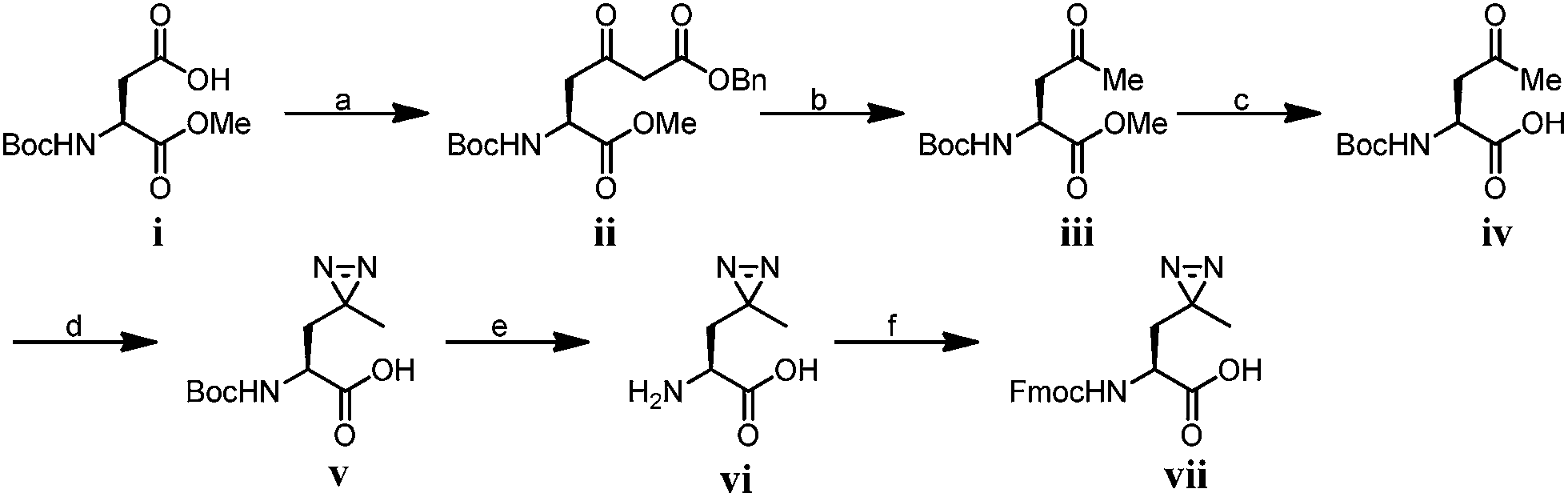 Developing diazirinebased chemical probes to identify histone