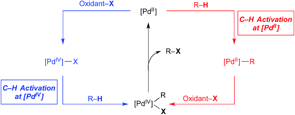 Carbon Hydrogen C H Bond Activation At Pdiv A Frontier In C H Functionalization Catalysis Chemical Science Rsc Publishing