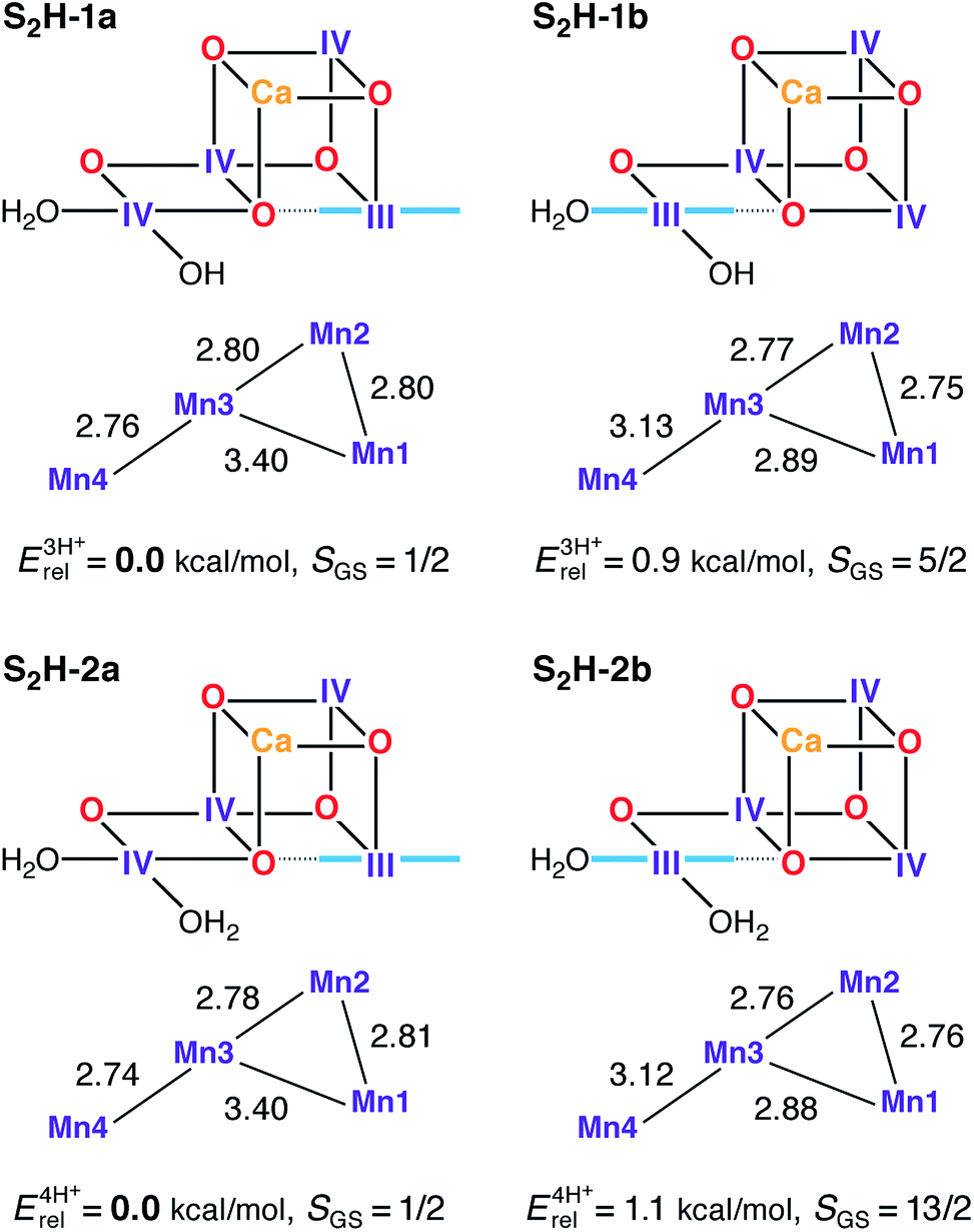 Mn iv. MN no3 2 степень окисления. Oxidation State of MN in Oxygen-evolving Complex of PSII.