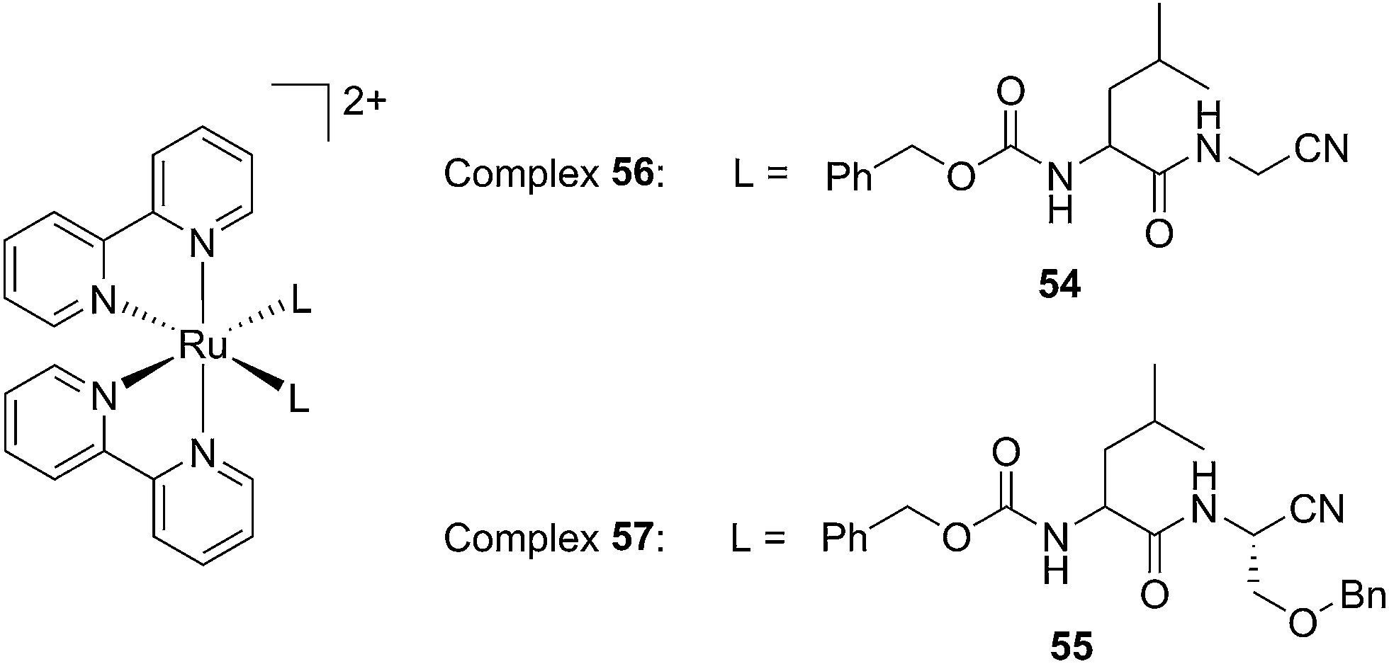 The Complex. Cui2- Complex Anion. Kopexil Complex. Stromatolitereef Complex.