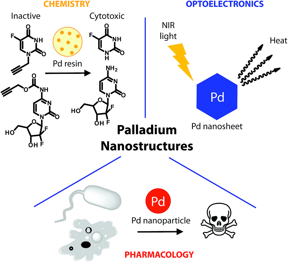 Mechanism of cancer