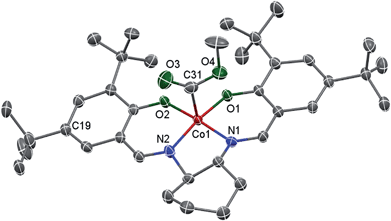A well-defined, versatile photoinitiator (salen)Co–CO 2 CH 3 for ...
