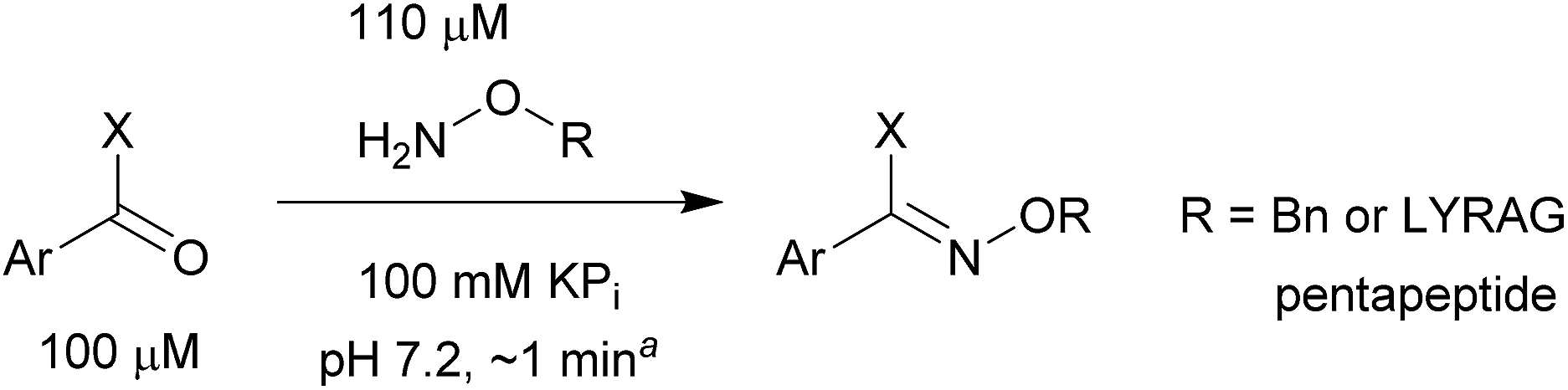 Boronic acids facilitate rapid oxime condensations at neutral pH ...