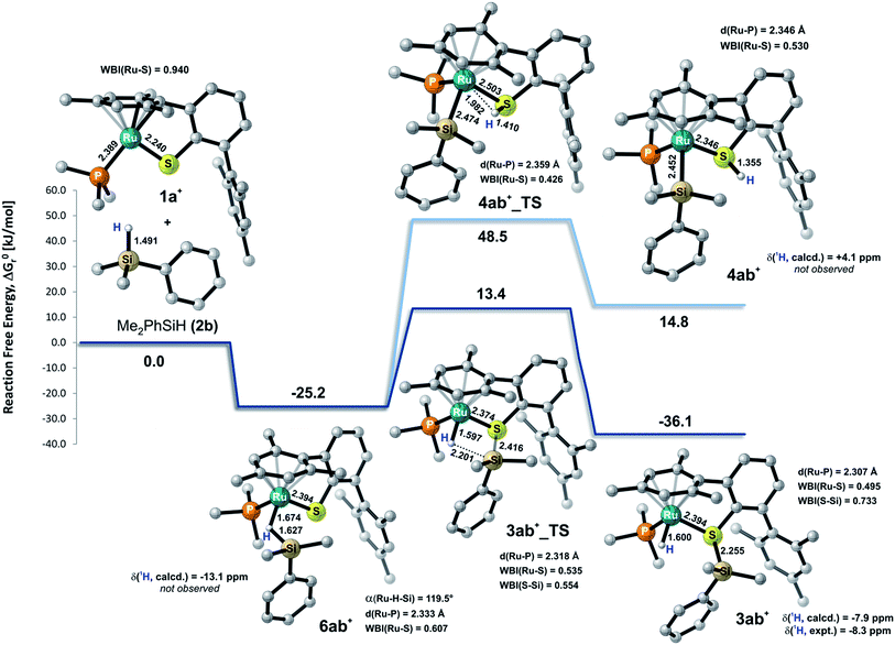 Mechanism Of The Cooperative Sih Bond Activation At Rus Bonds