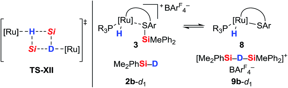 Mechanism Of The Cooperative Sih Bond Activation At Rus Bonds