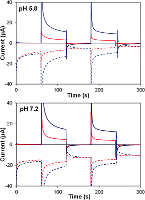 Water splitting with polyoxometalate-treated photoanodes: enhancing ...