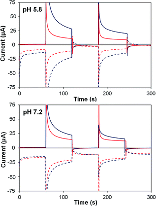 Water splitting with polyoxometalate-treated photoanodes: enhancing ...