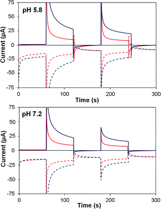 Water splitting with polyoxometalate-treated photoanodes: enhancing ...