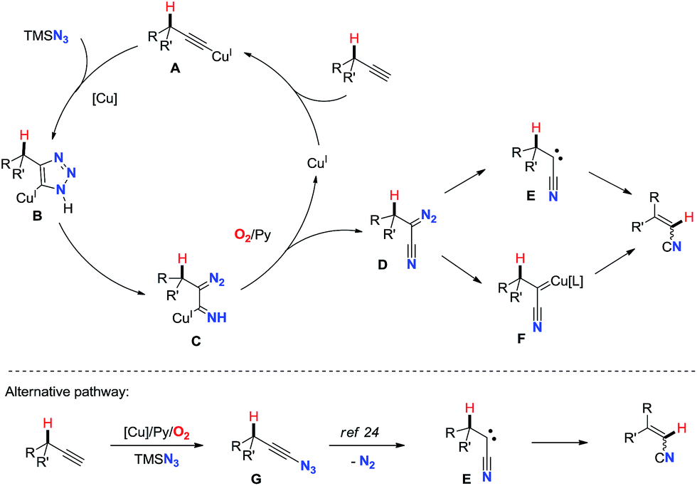 Copper-catalyzed direct transformation of simple alkynes to alkenyl ...