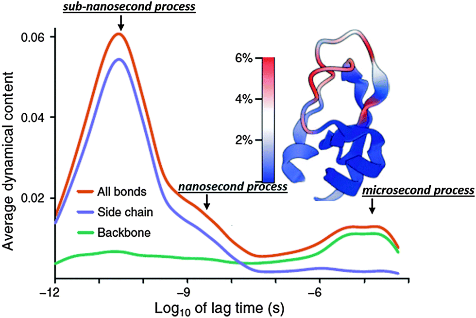 protein backbone stability resonance