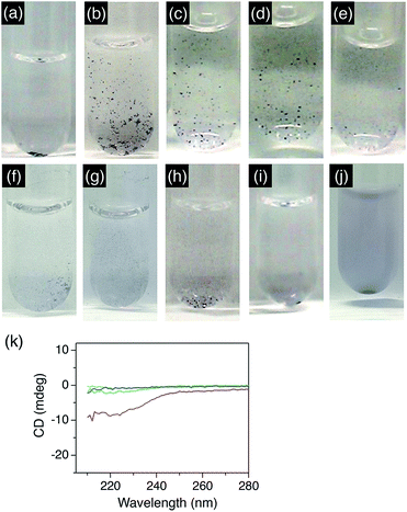 Cysteine-containing oligopeptide β-sheets as redispersants for ...