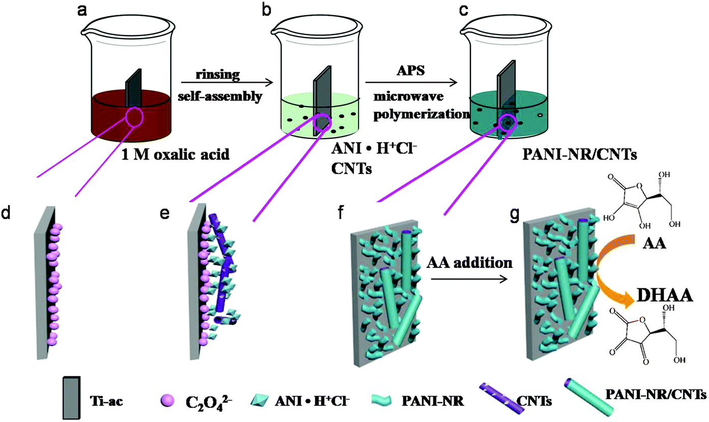 Facile And Fast Fabrication Of Polyaniline Nanorods On Acidized Titanium Foils With A Synergistic Effect For Electrochemical Sensing Journal Of Materials Chemistry B Rsc Publishing