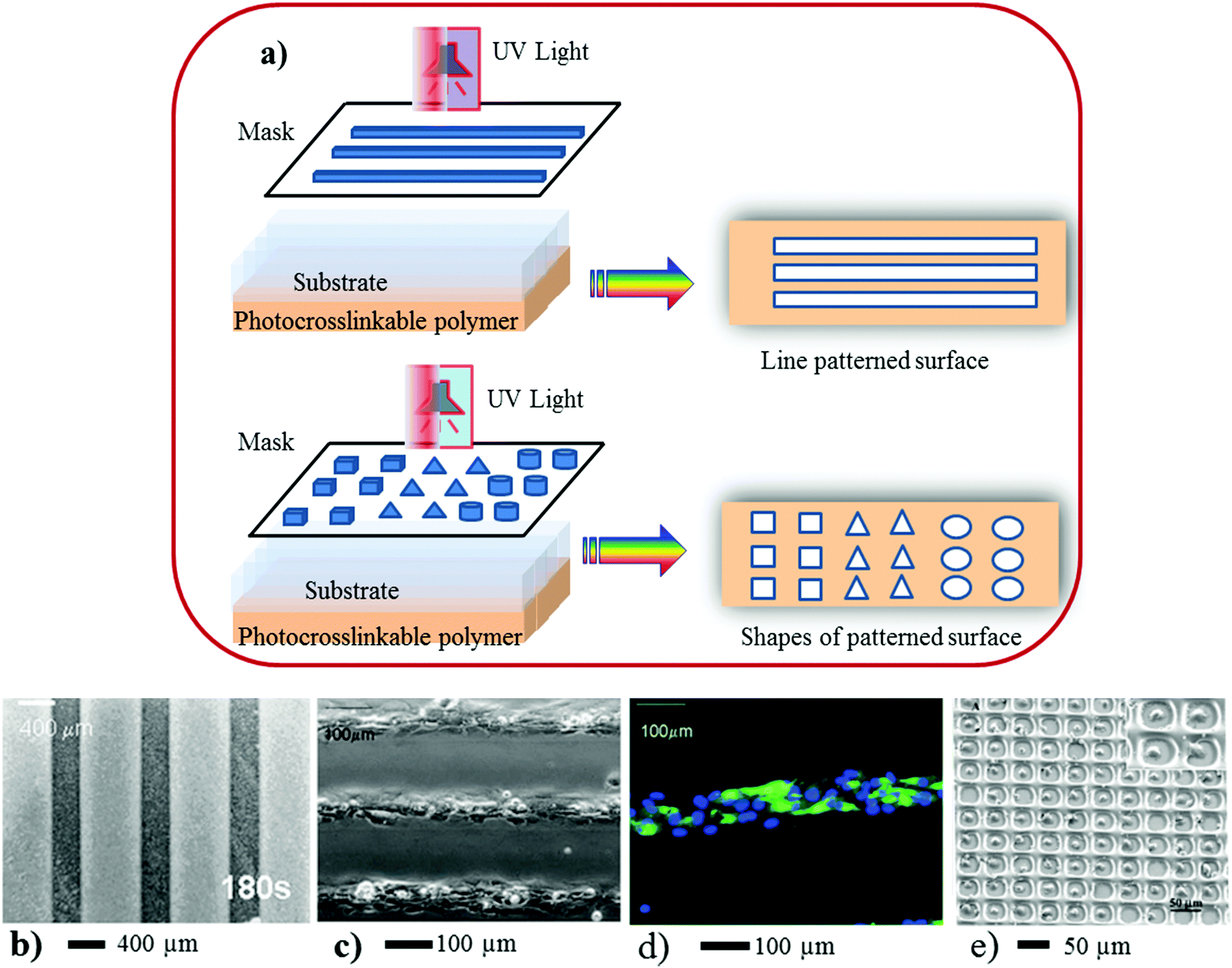 Fabrication of polymeric biomaterials a strategy for tissue