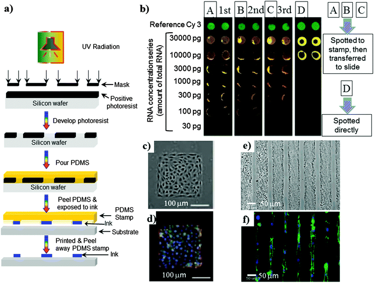 Fabrication of polymeric biomaterials a strategy for tissue