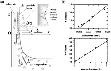 Artificial opal photonic crystals and inverse opal structures ...