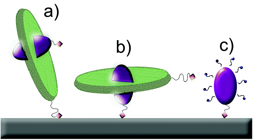 Lipodisks Integrated With Weak Affinity Chromatography Enable