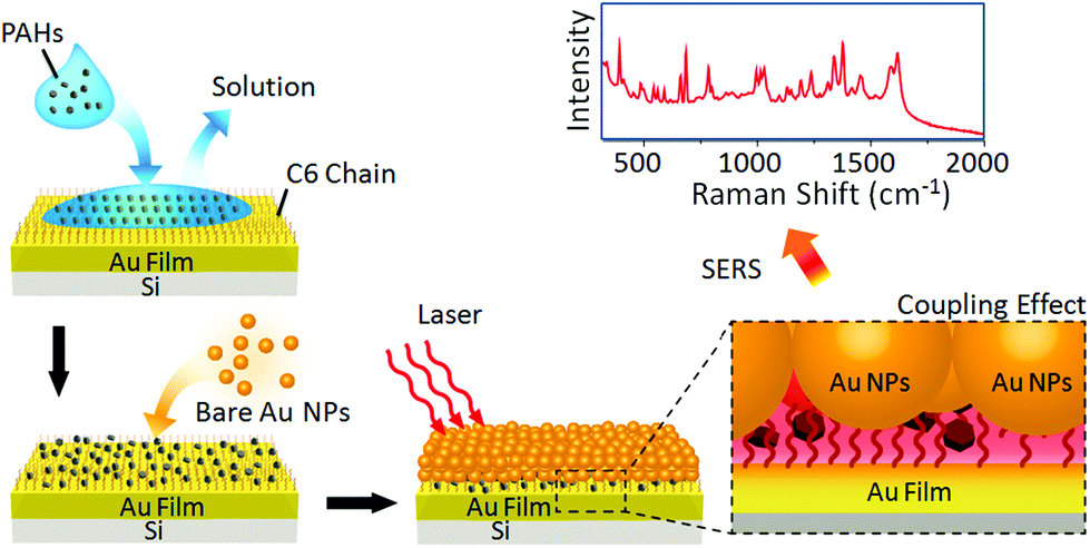 Price cut In fact quality SERS detection of polycyclic aromatic hydrocarbons using a bare gold  nanoparticles coupled film system - Analyst (RSC Publishing)  DOI:10.1039/C6AN00319B