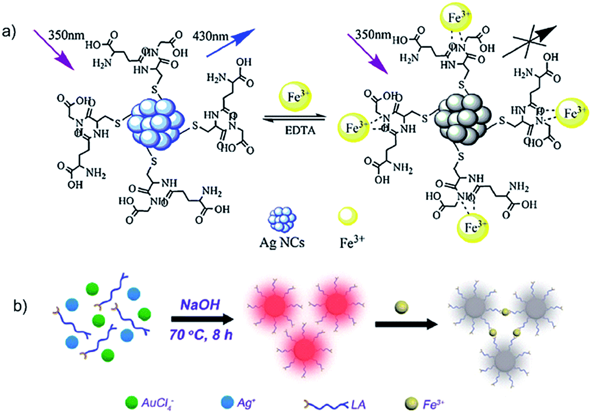 Sensing materials developed and applied for bio-active Fe 3+ 