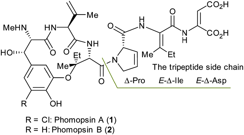 The Stereoselective Construction Of E And Z D Ile From E Dehydroamino Acid Ester The Synthesis Of The Phomopsin A Tripeptide Side Chain Chemical Communications Rsc Publishing Doi 10 1039 C5ccj