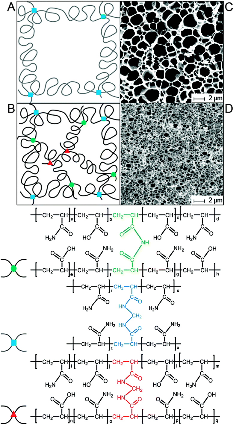 A Multiple Covalent Crosslinked Soft Hydrogel For Bioseparation Chemical Communications Rsc Publishing Doi 10 1039 C5ccg
