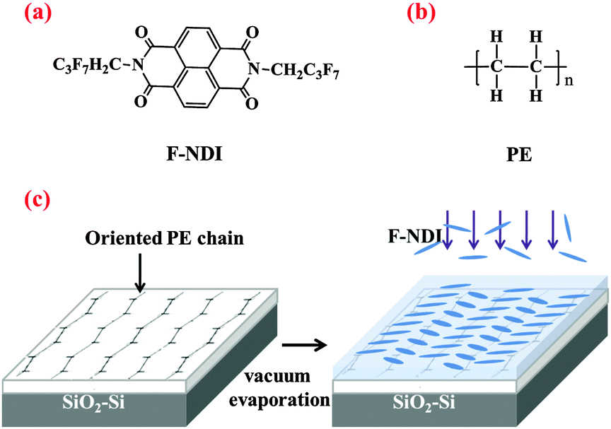 Epitaxially-crystallized oriented naphthalene bis(dicarboximide 