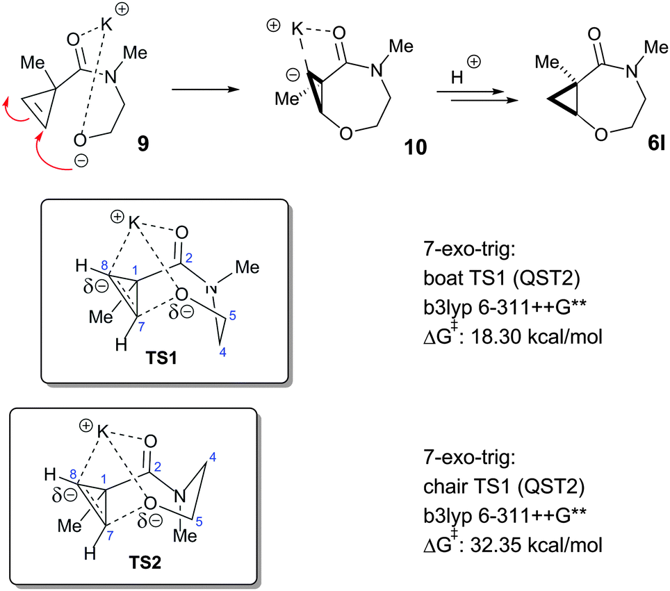 Templated Assembly Of Medium Cyclic Ethers Via Exo Trig