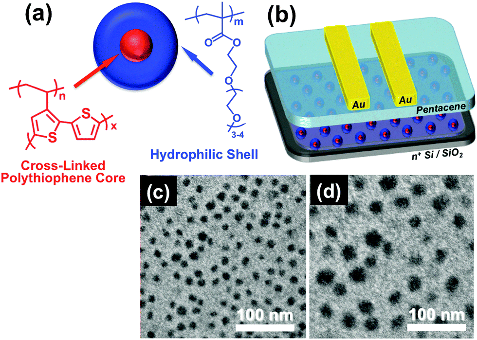 Non Volatile Transistor Memory Devices Using Charge Storage Cross Linked Core Shell Nanoparticles Chemical Communications Rsc Publishing Doi 10 1039 C6ccd