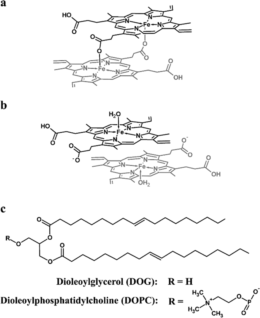 Insights Into The Initial Stages Of Lipid Mediated Haemozoin Nucleation Crystengcomm Rsc Publishing Doi 10 1039 C6cef