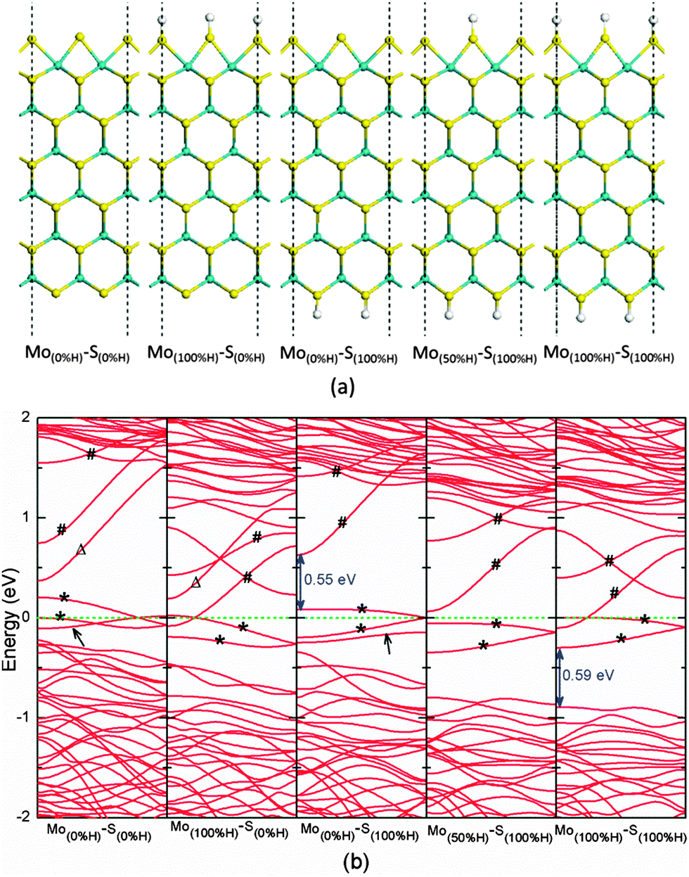 Fundamental insights into the electronic structure of zigzag MoS 2