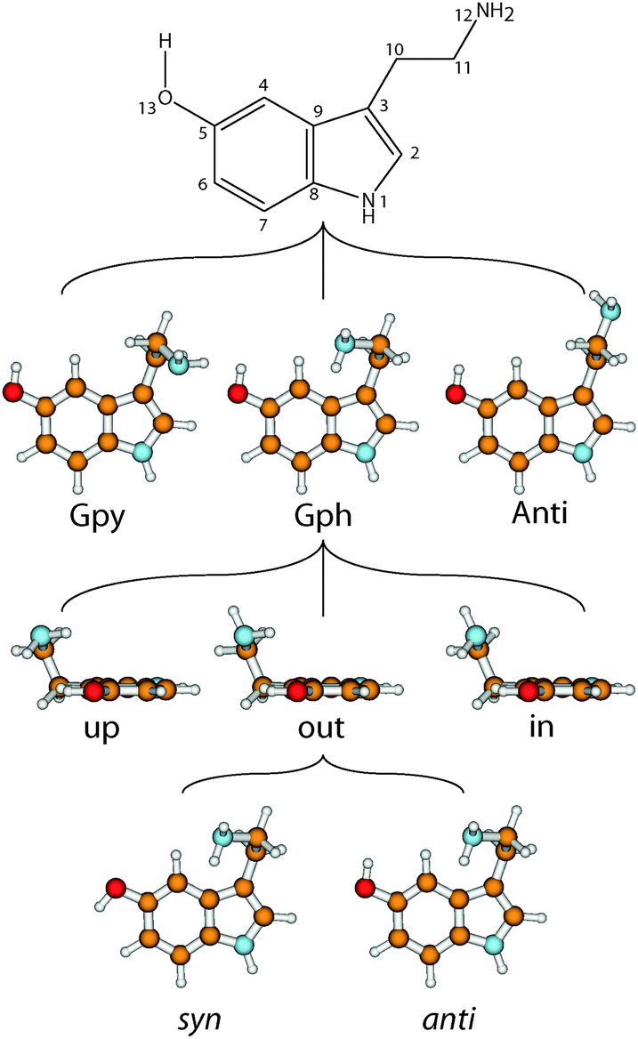 The conformational space of the neurotransmitter serotonin: how the  rotation of a hydroxyl group changes all - Physical Chemistry Chemical  Physics (RSC Publishing) DOI:10.1039/C6CP02130A