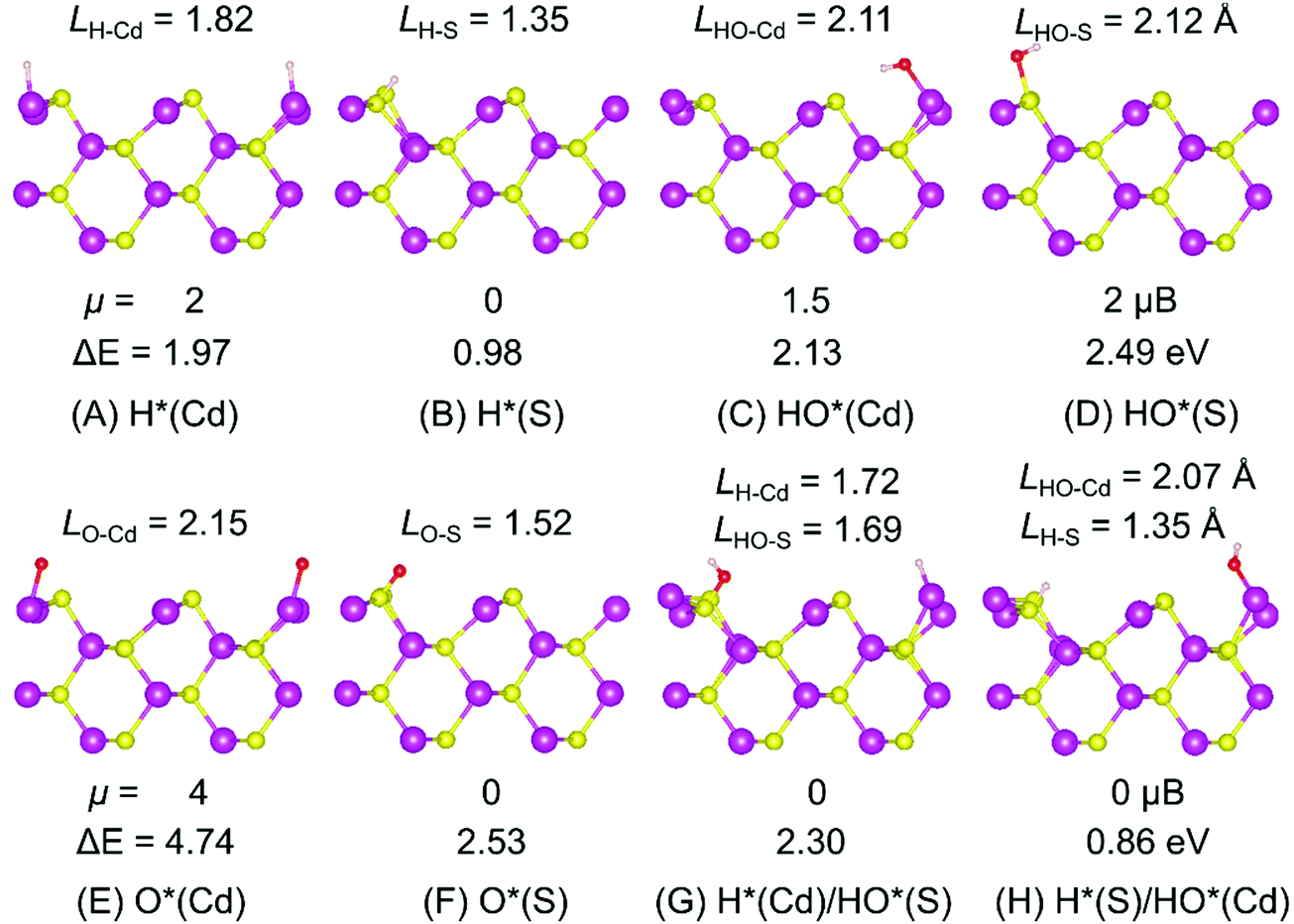 Understanding Divergent Behaviors In The Photocatalytic Hydrogen Evolution Reaction On Cds And Zns A Dft Based Study Physical Chemistry Chemical Physics Rsc Publishing Doi 10 1039 C6cpd