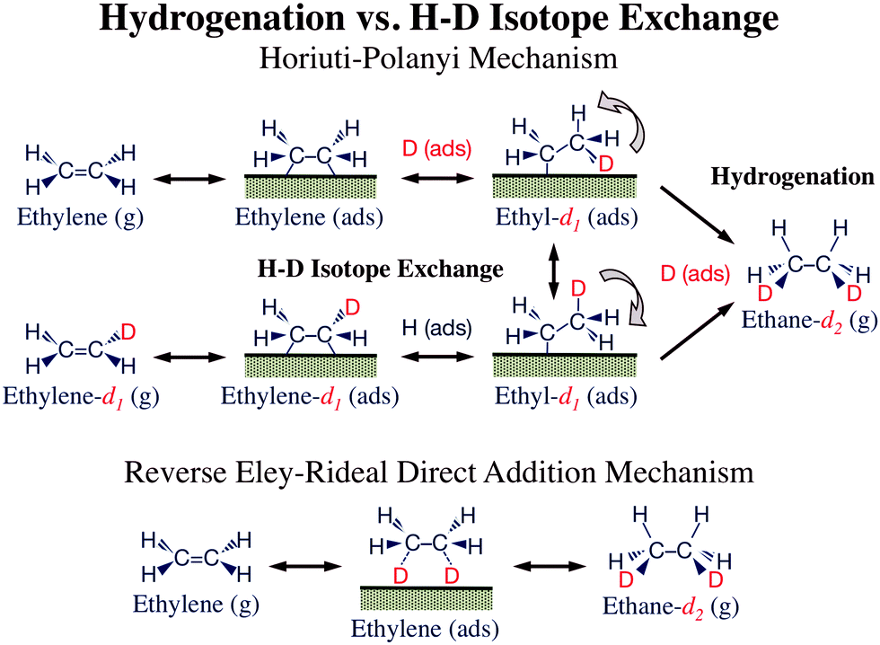 Hydrogenation vs. H D isotope scrambling during the conversion of