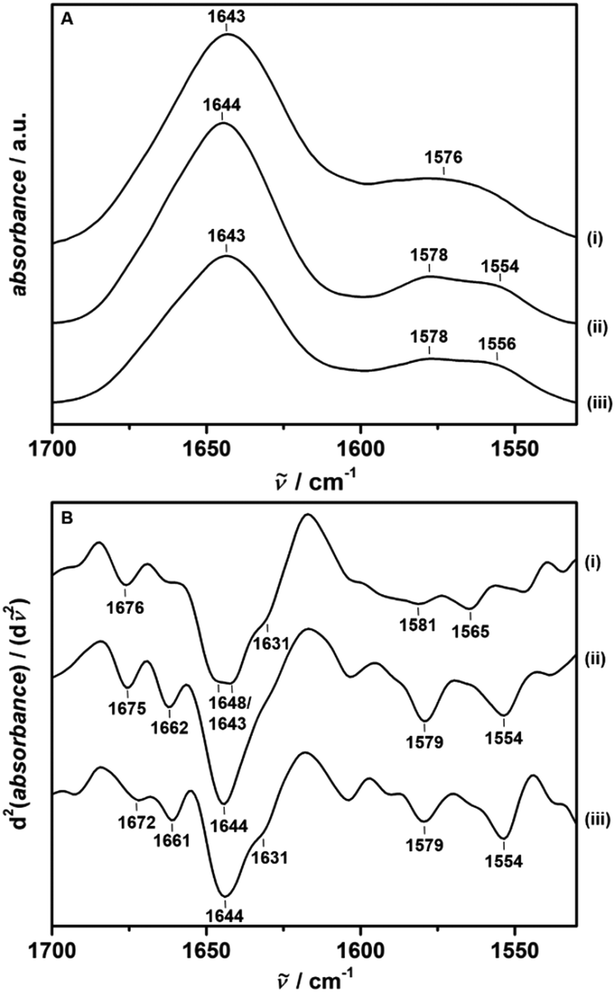 Probing Conformational And Functional Substates Of Calmodulin By High Pressure Ftir Spectroscopy Influence Of Ca 2 Binding And The Hypervariable Reg Physical Chemistry Chemical Physics Rsc Publishing Doi 10 1039 C6cph