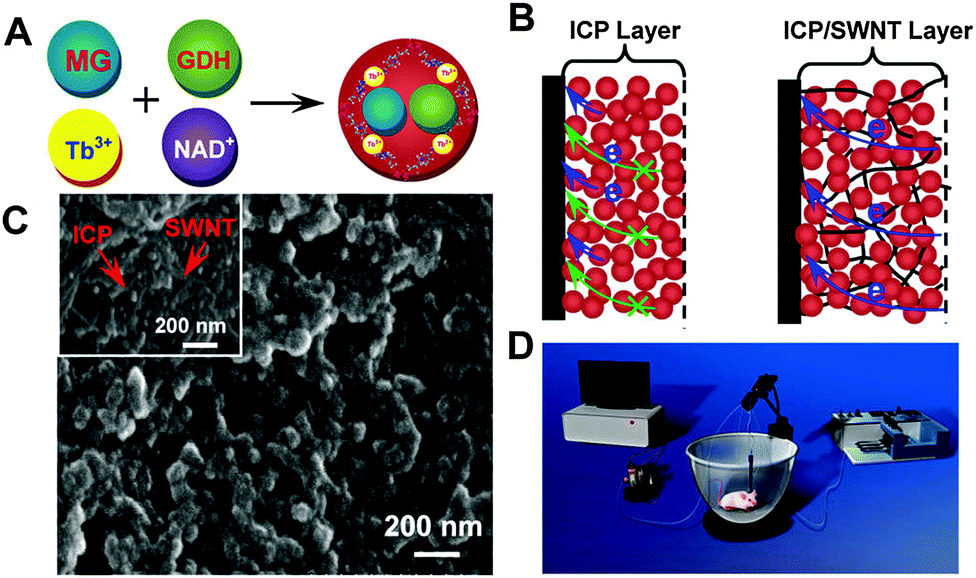 Recent development of carbon electrode materials and their bioanalytical  and environmental applications - Chemical Society Reviews (RSC Publishing)  DOI:10.1039/C5CS00297D