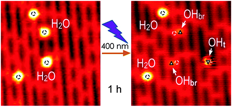 Elementary photocatalytic chemistry on TiO 2 surfaces - Chemical 