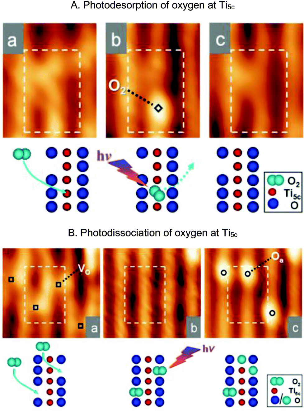 Elementary photocatalytic chemistry on TiO 2 surfaces Elementary photocatalytic chemistry on TiO 2 surfaces