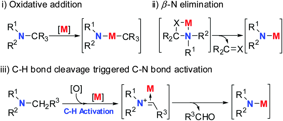 Transition Metal Catalysed C N Bond Activation Chemical Society Reviews Rsc Publishing Doi 10 1039 C5cse