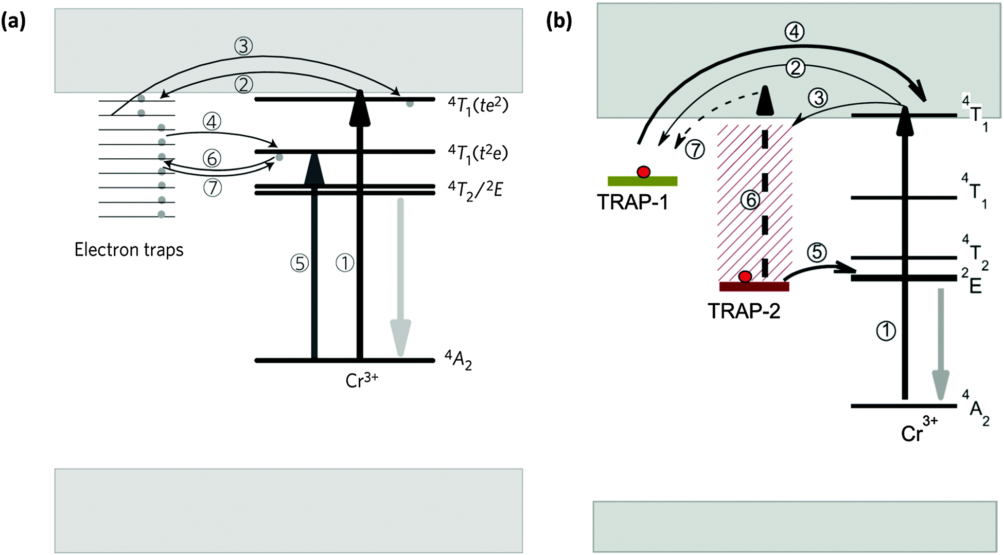 Long persistent phosphors—from fundamentals to applications Long persistent phosphors—from fundamentals to applications