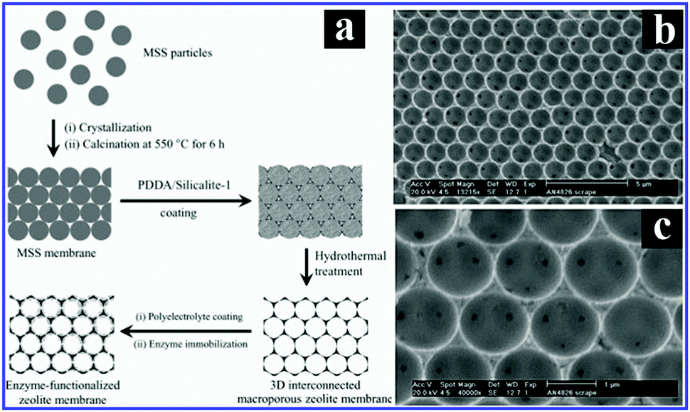 Layer-by-layer assembly of versatile nanoarchitectures with 