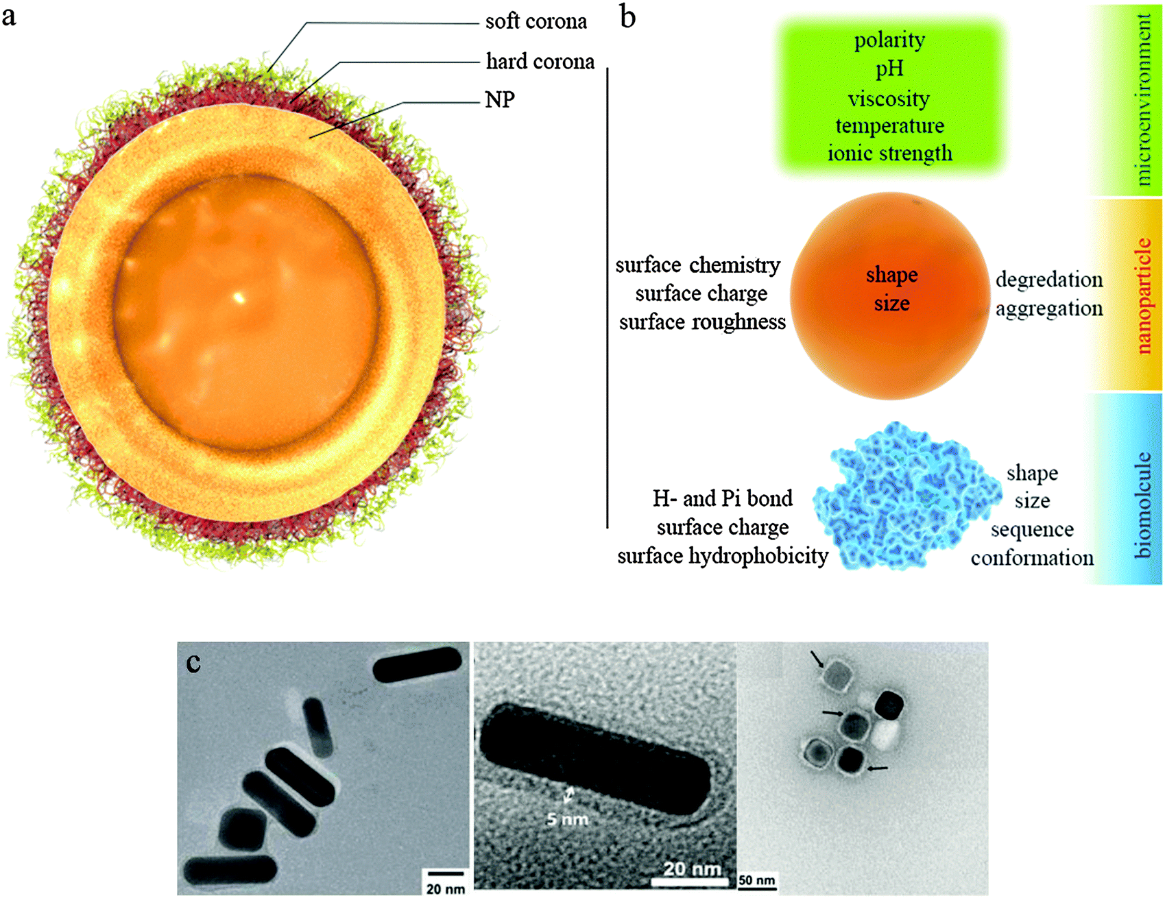 Smart micro/nanoparticles in stimulus-responsive drug/gene 