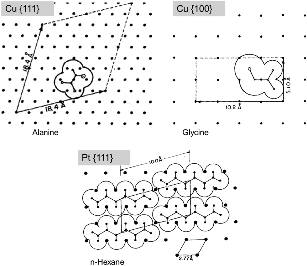 Simulations of inorganic–bioorganic interfaces to discover