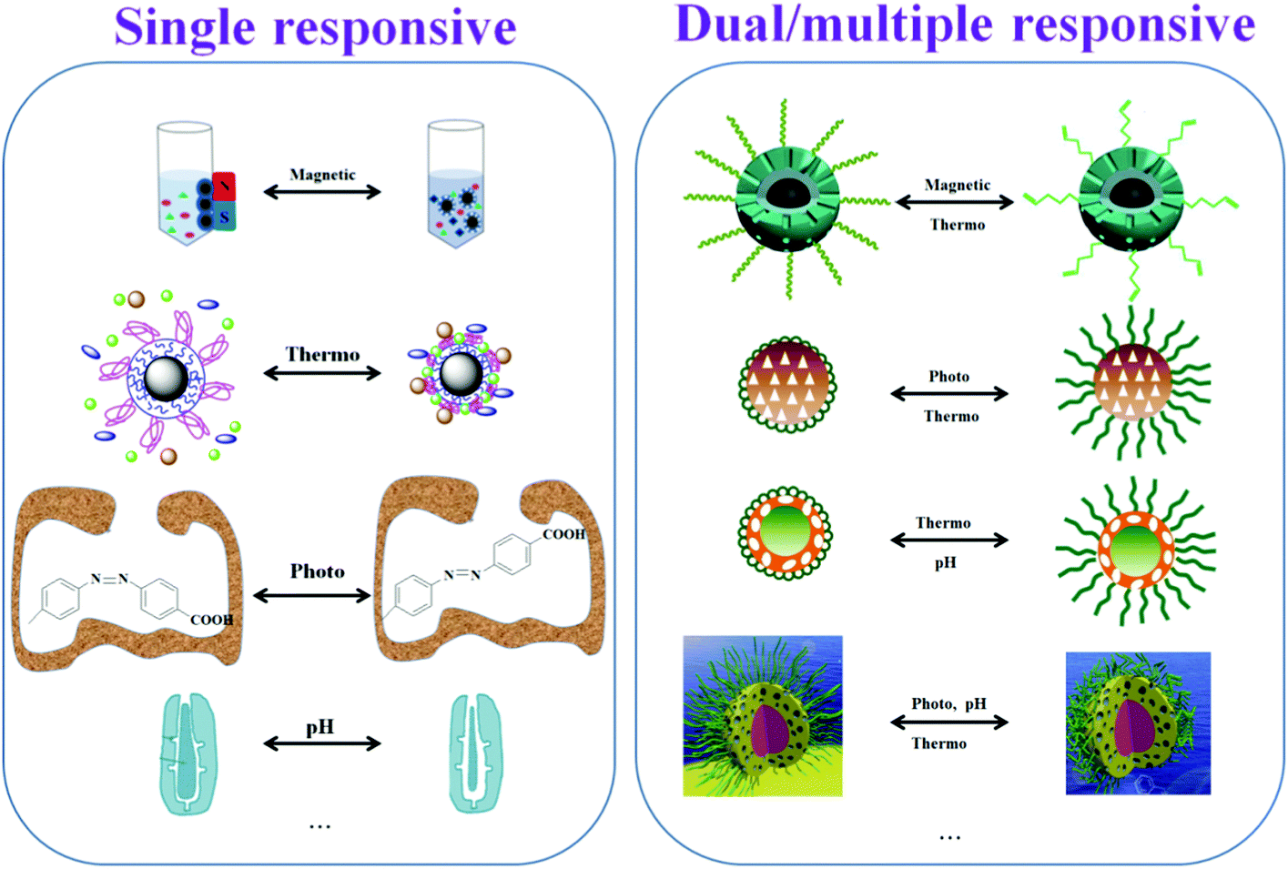 Molecular imprinting: perspectives and applications