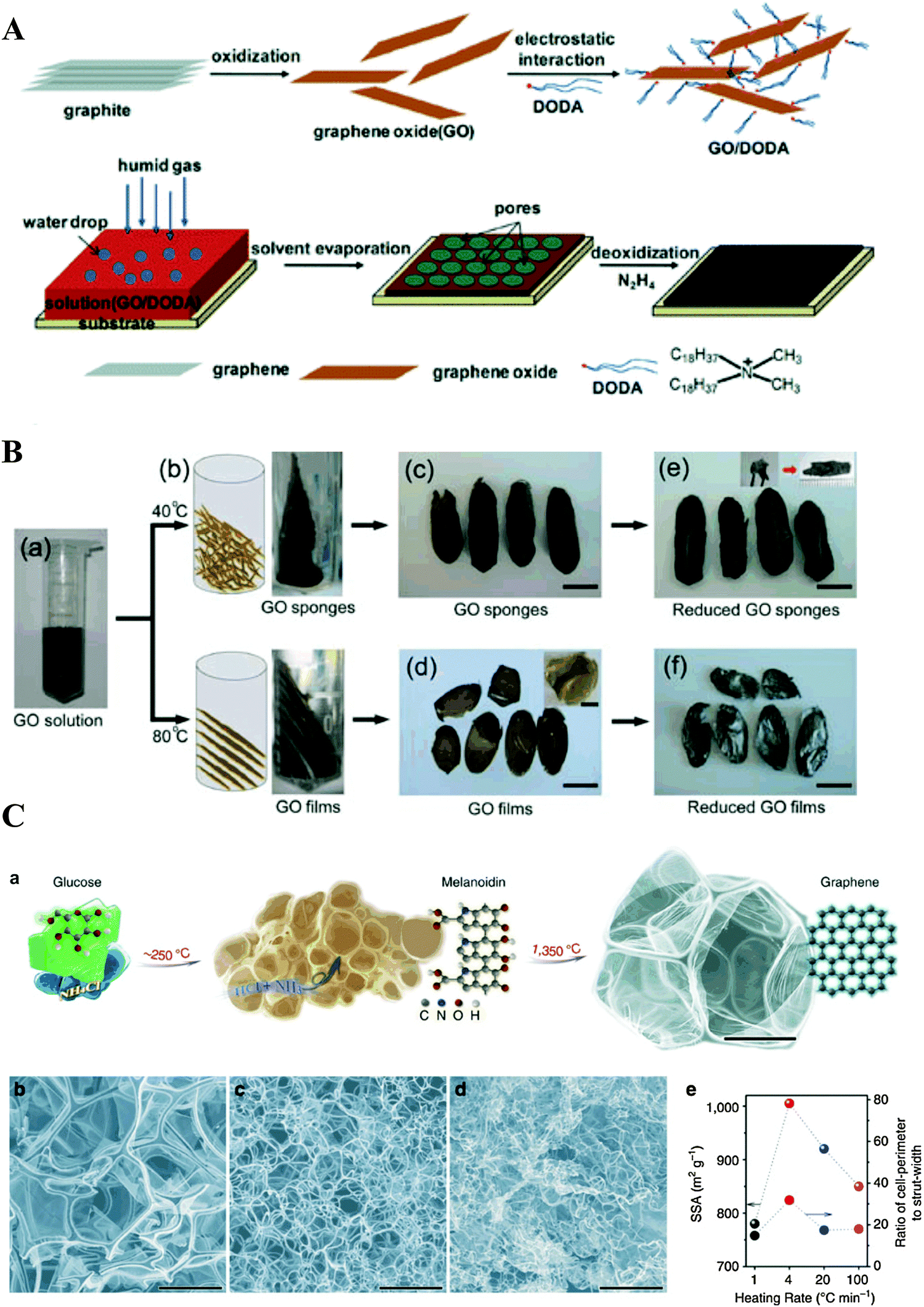 【超歓迎】 Three-dimensional macro-structures of two-dimensional ミュージシャン