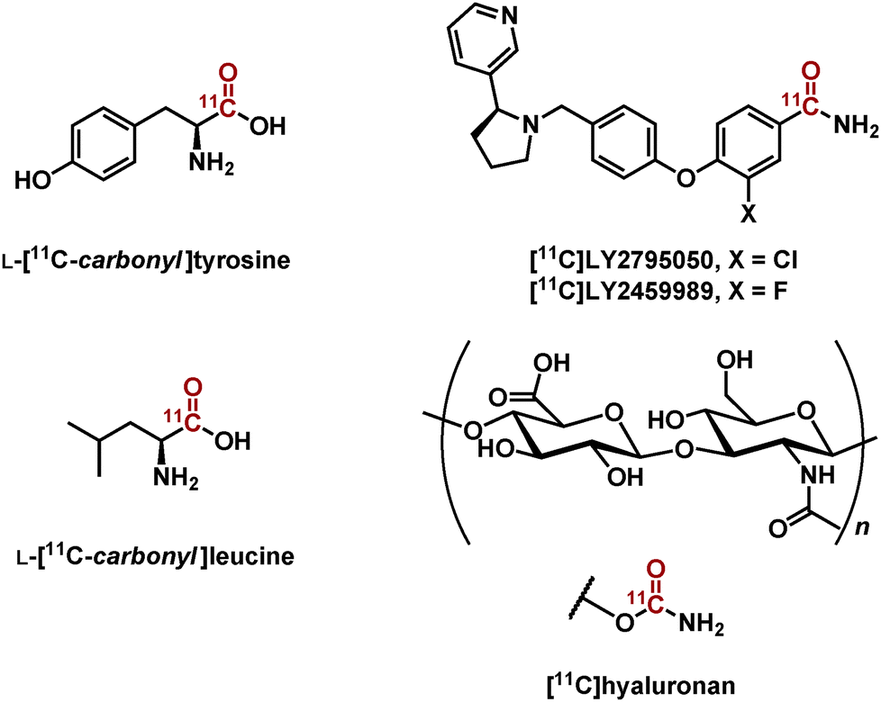 11 C[double bond