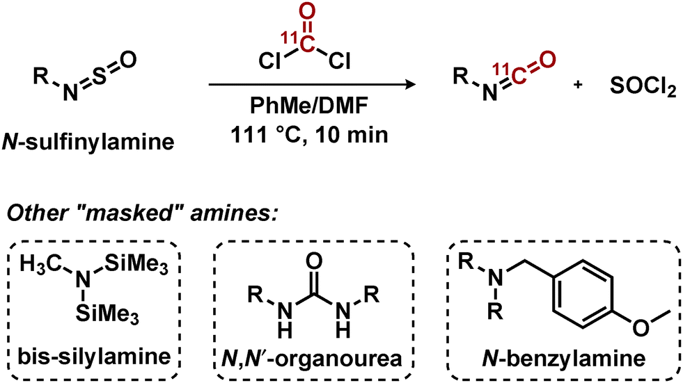 11 C[double bond